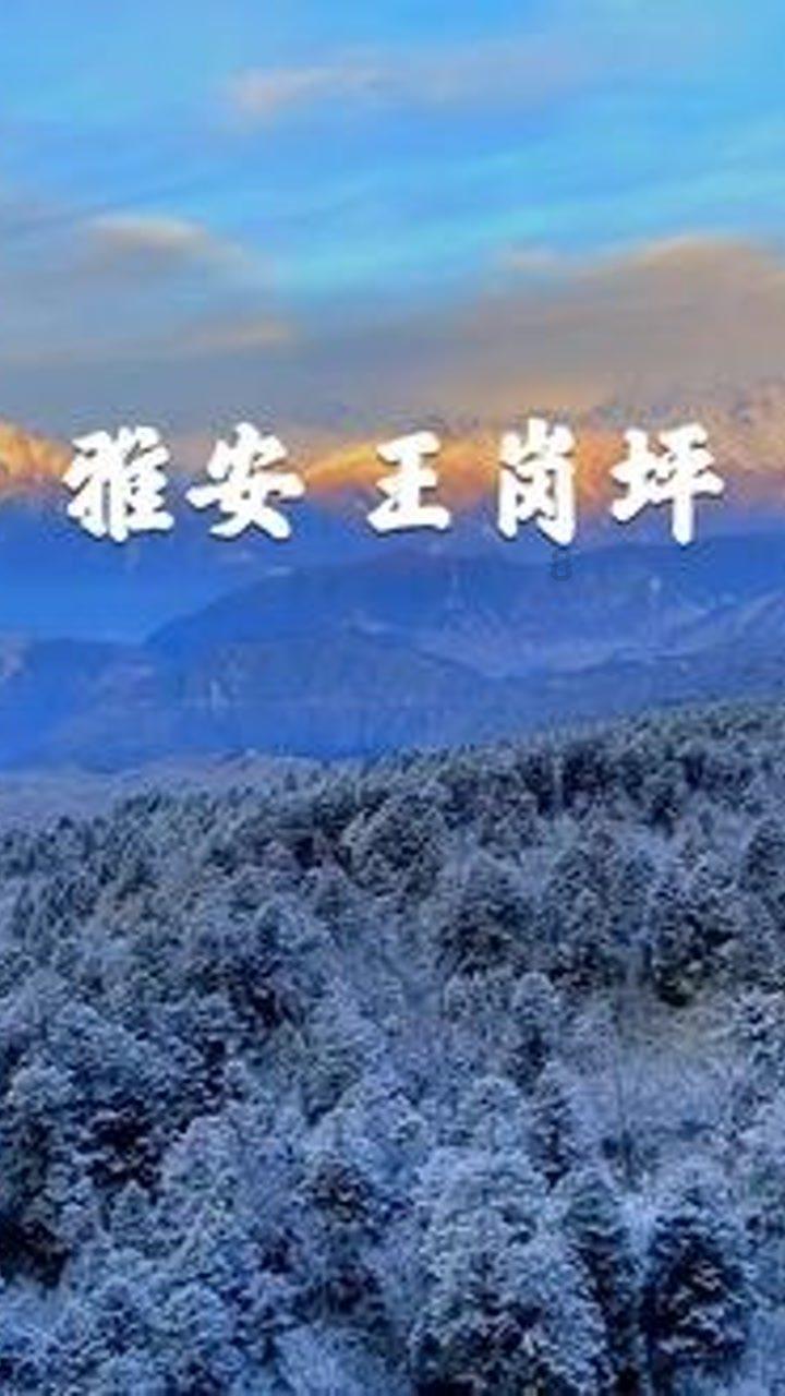 未知岛屿